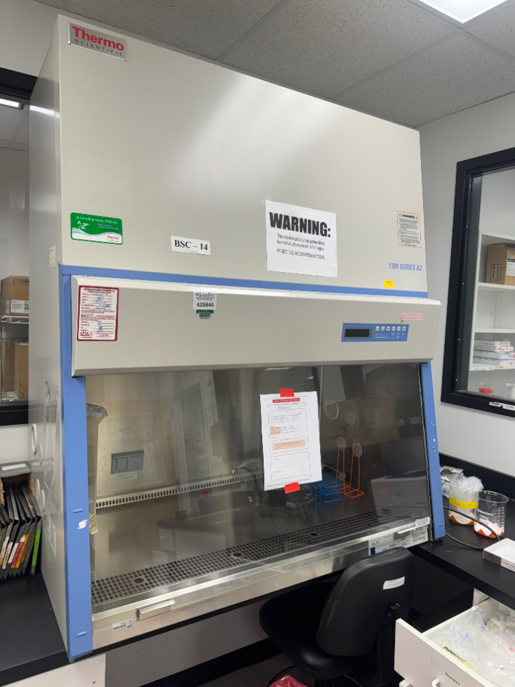 Image of Thermo 1300 Series A2 4' BioSafety Cabinet
